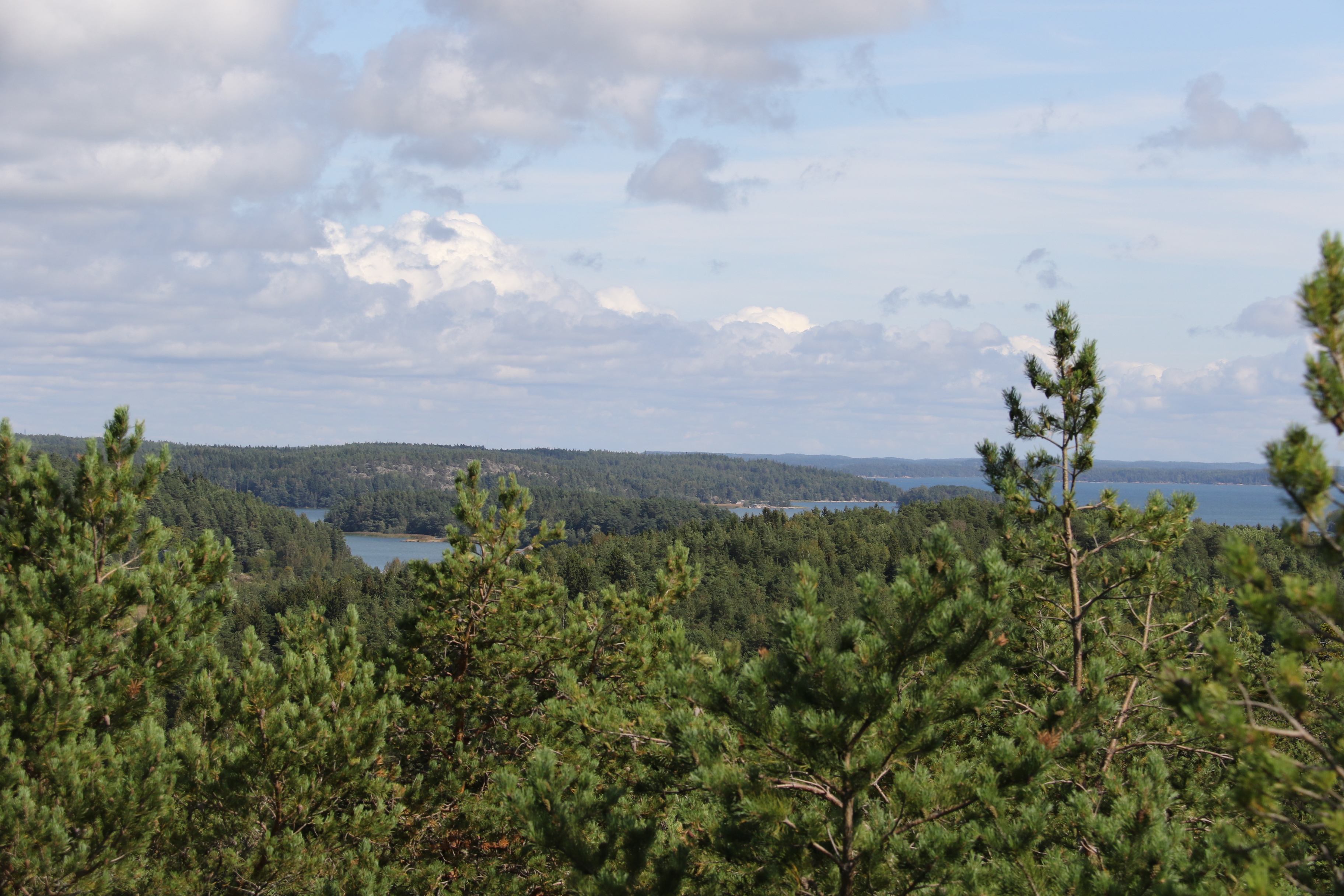 Naantalin ilmasto- ja ympäristötyölle avattu nettisivut | Naantali