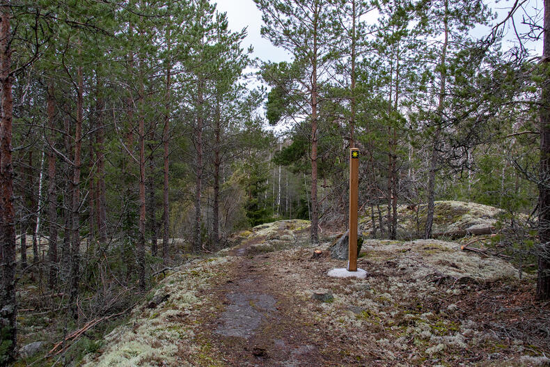 Aurinkokuvakkeella varustettu opaste kallion päällä. Keskellä kulkee polku.