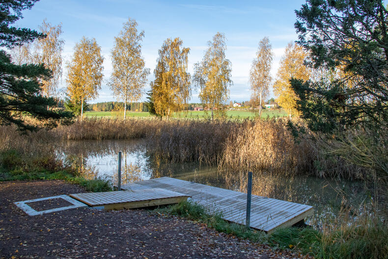 Joen mutkassa on laituri, joessa on kalsilikkoa, vastarannalla rivissä koivuja.