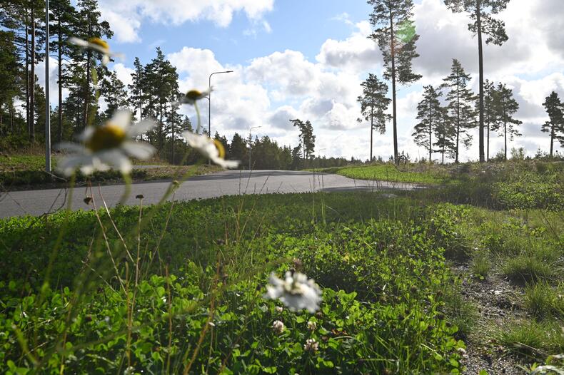 Sokon alue Luonnonmaalla, katualue ja luontoa.