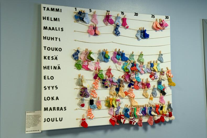 Naantalin perheneuvolan sukkataulu, johon on merkitty syntyneet vuoden ajalta.