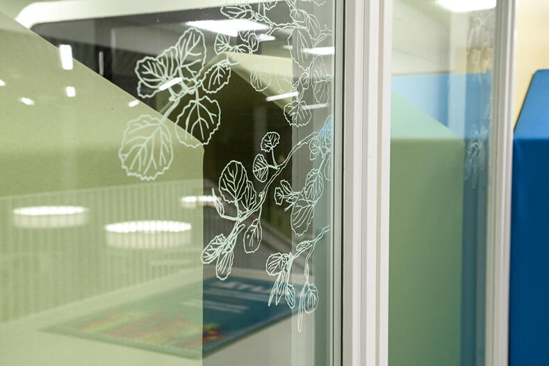 Haapa-aiheinen kuvitus Luonnonmaan perhetalon sisäikkunassa.