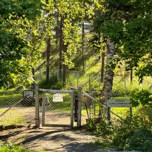 Myllykiventien koirapuisto Naantalissa. 