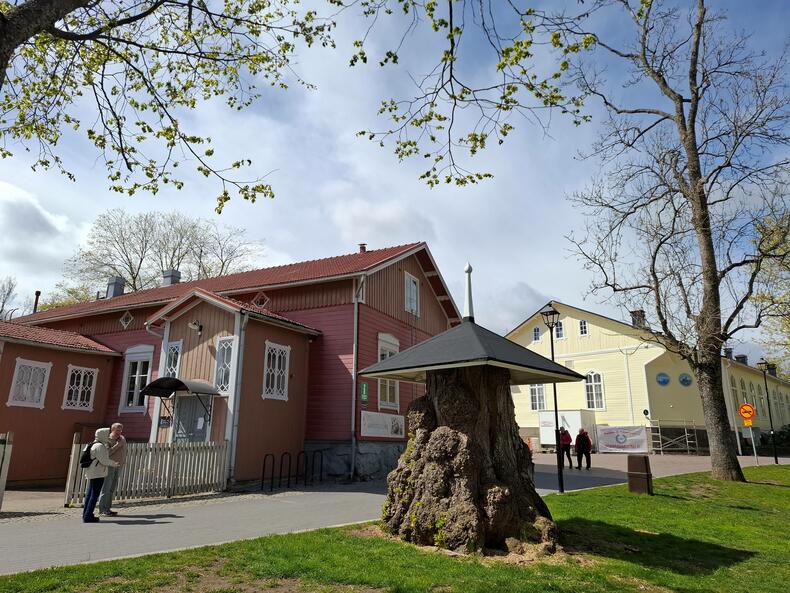 Vanhankaupungin kaadettu poppeli, jonka päällä kattorakennelma.