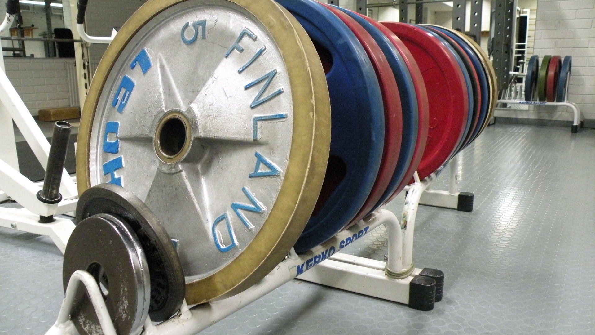 Kiekkopainoja rivissä telineellä.