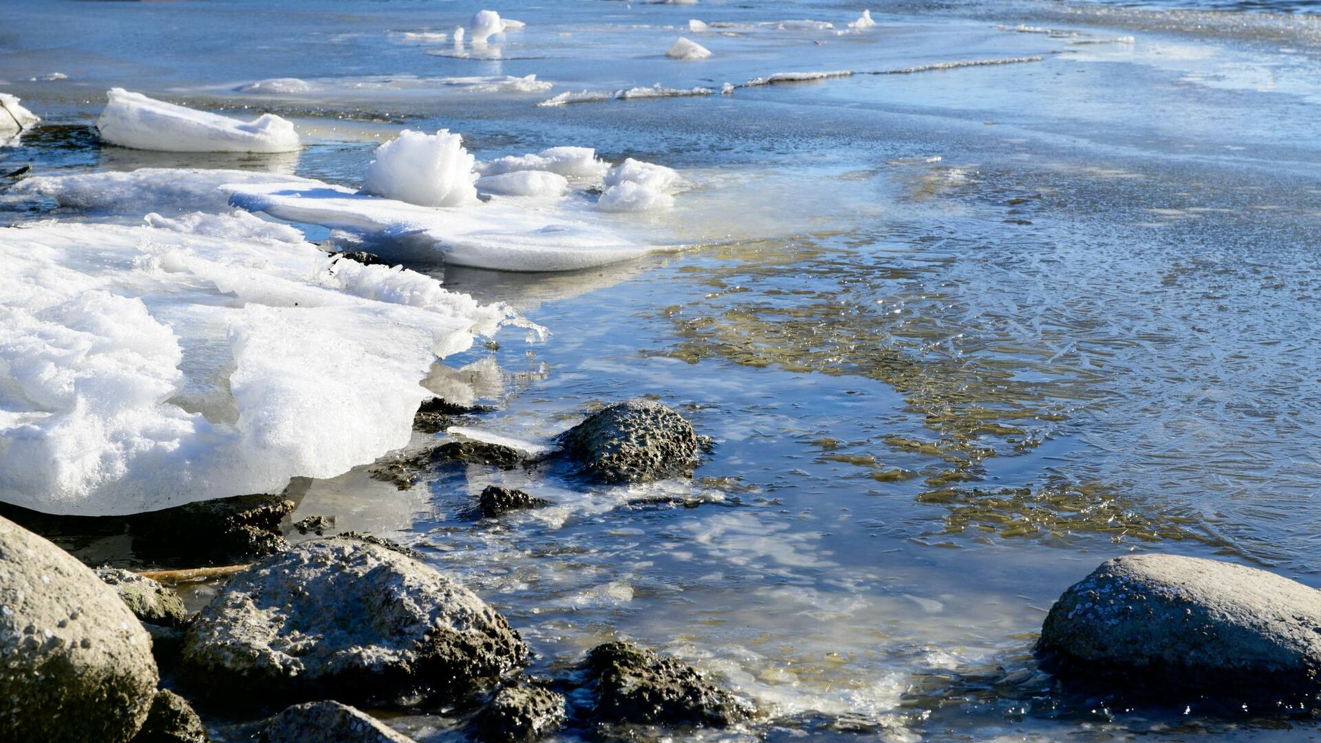 Jää sulaa rannassa.