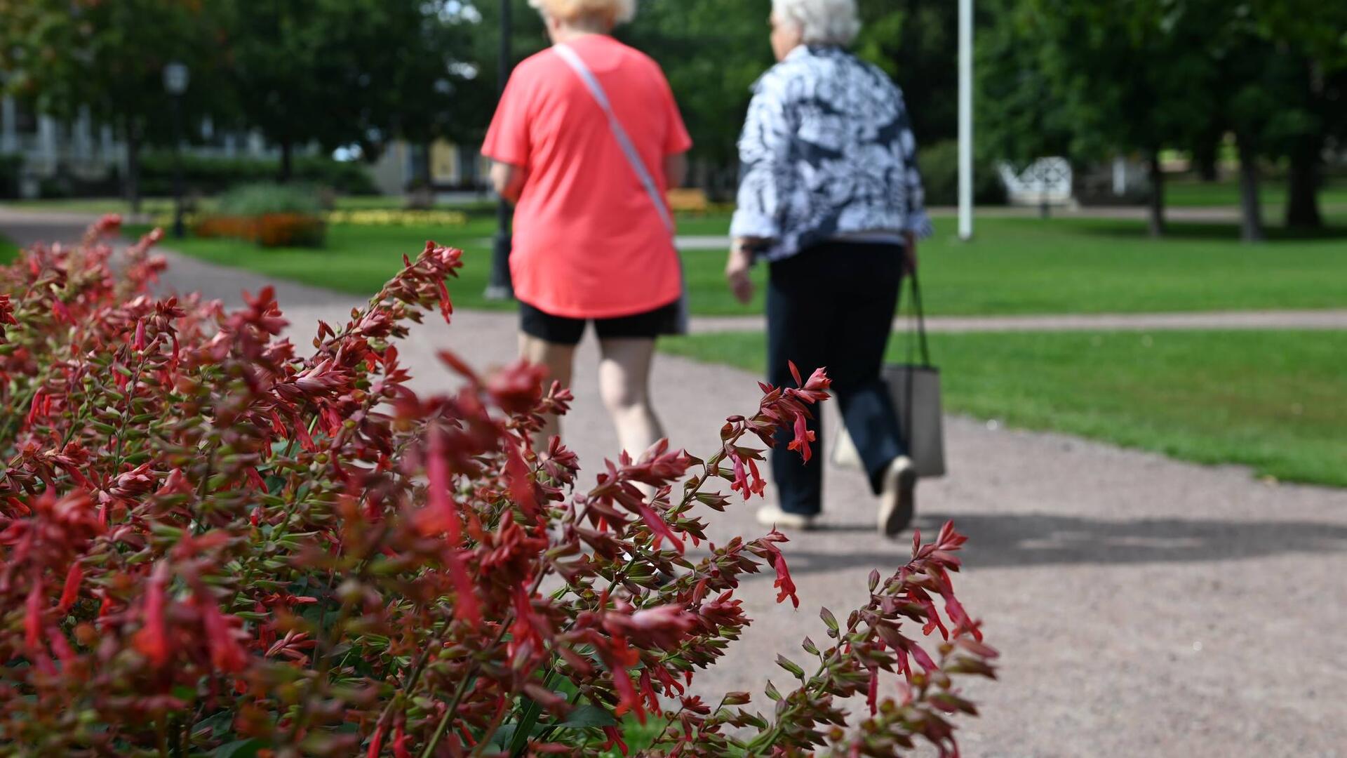 Kaksi ikäihmistä kävelyllä puistossa