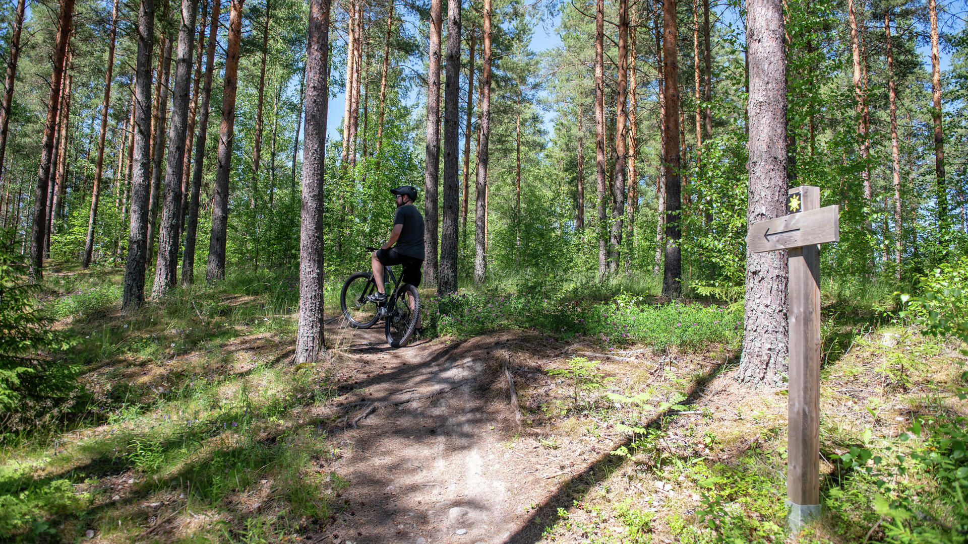 Pyöräilijä metsässä