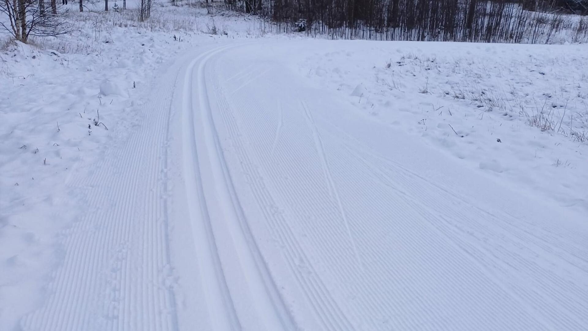 Tuore latu Suovuoressa.