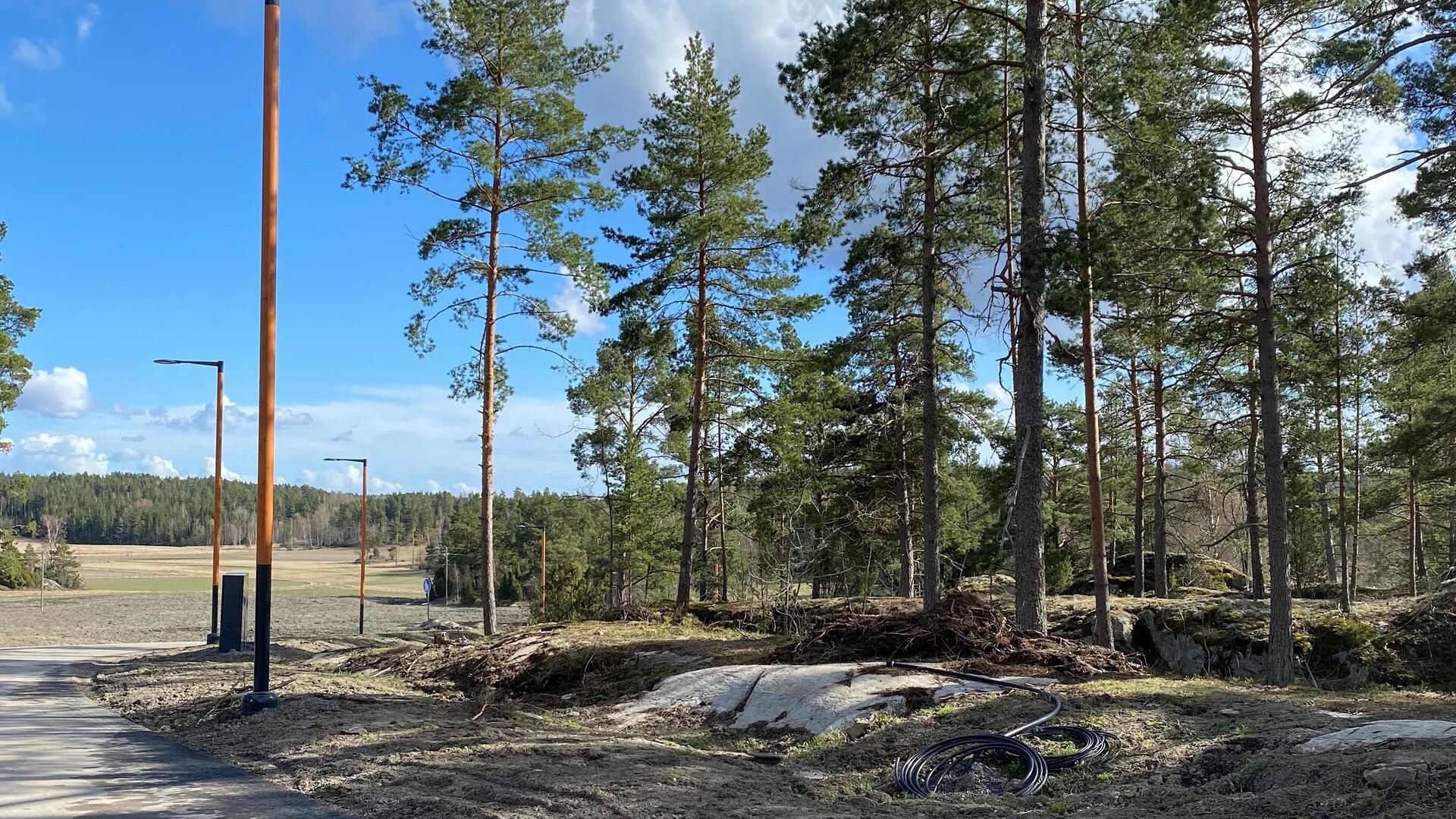 Asuntomessualueen Venda-kadun varattu metsäinen tontti