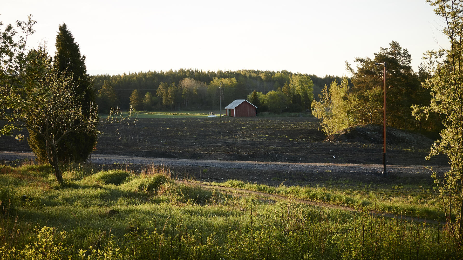 Kesäillan peltomaisema ja punainen lato lehtipuiden lomassa.