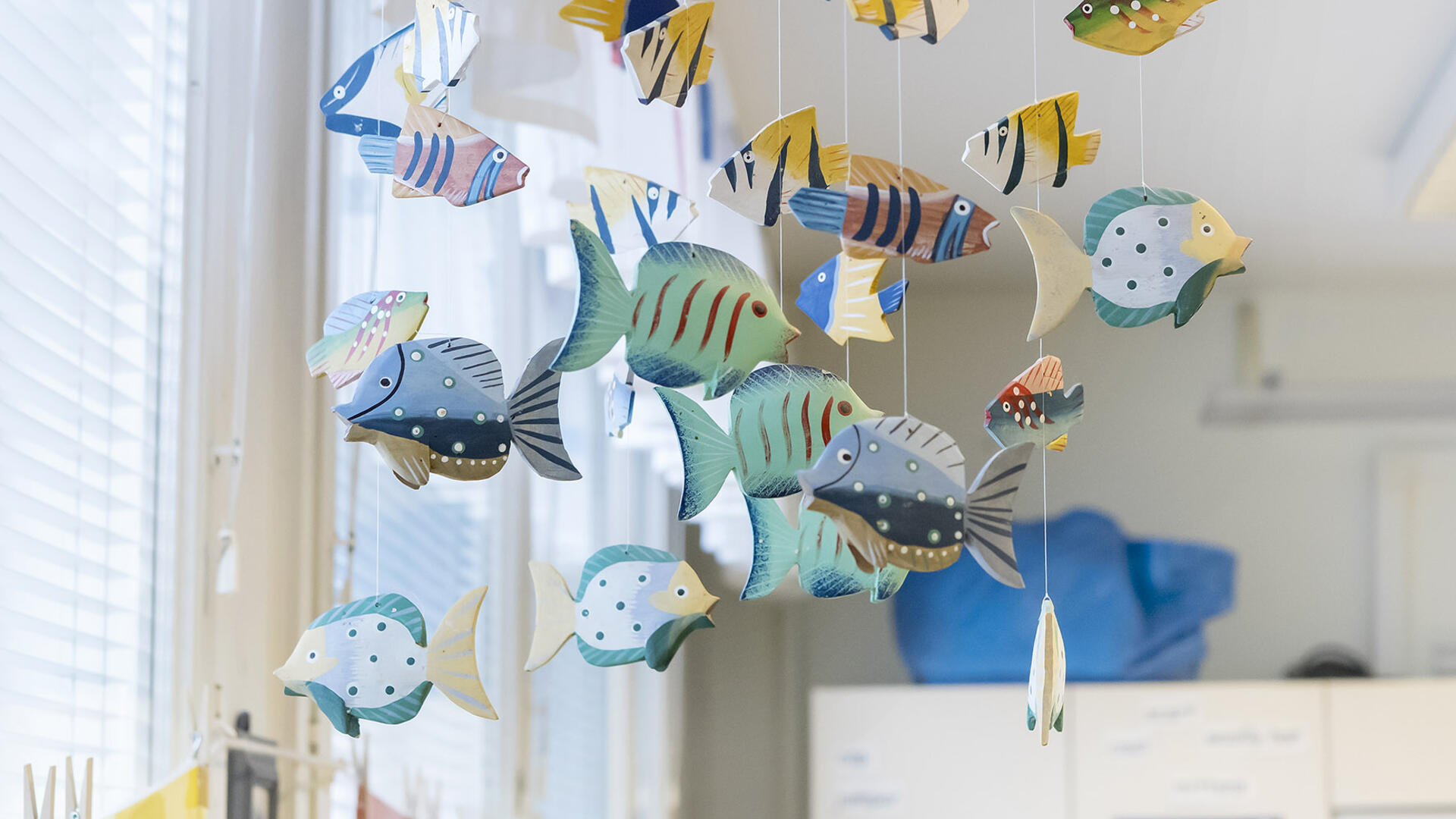 Vapaa-ajan toimintaa