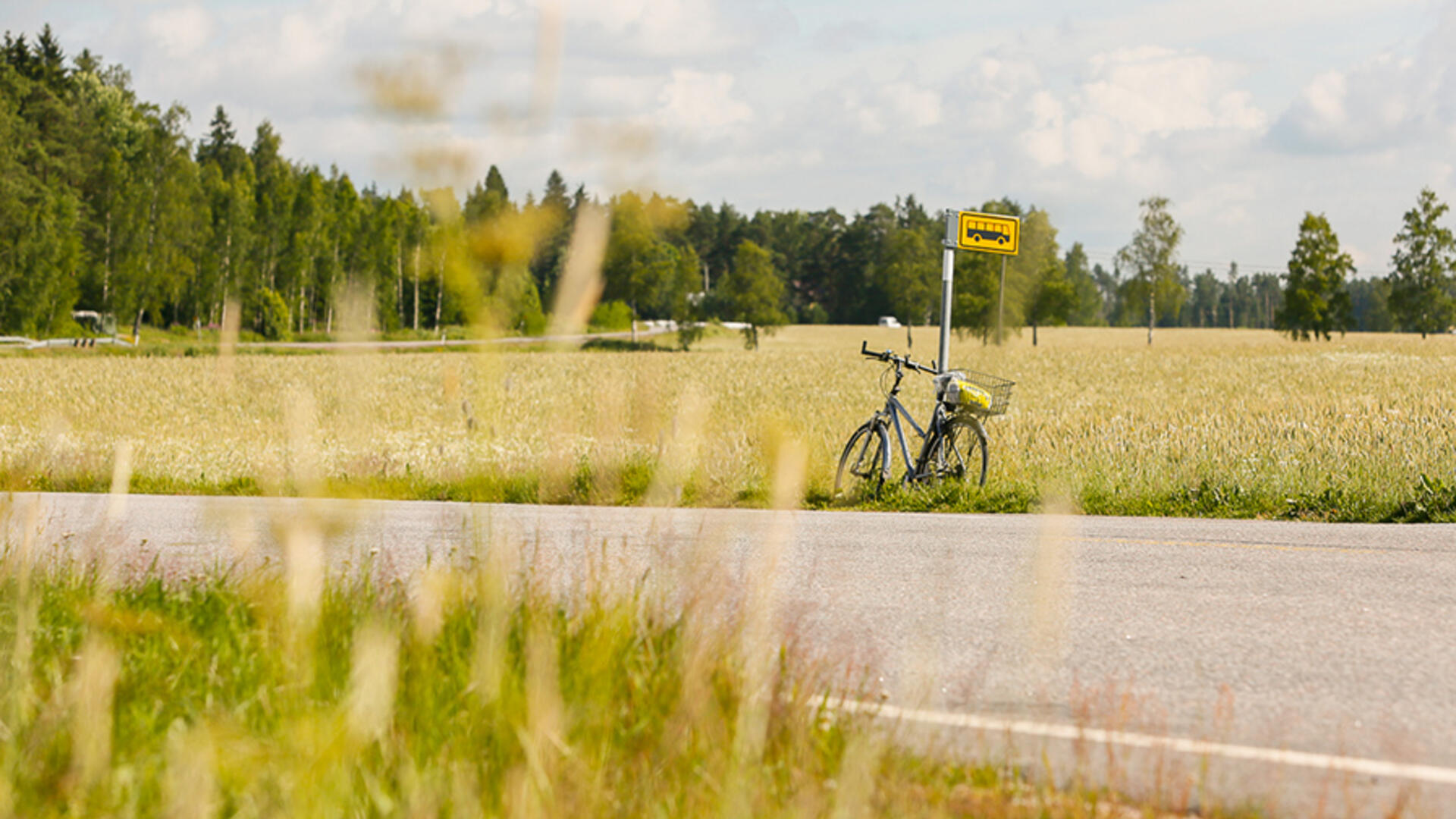 Polkupyörä nojaa bussipysäkkitolppaan tien varressa, ympärillä on peltomaisemaa.