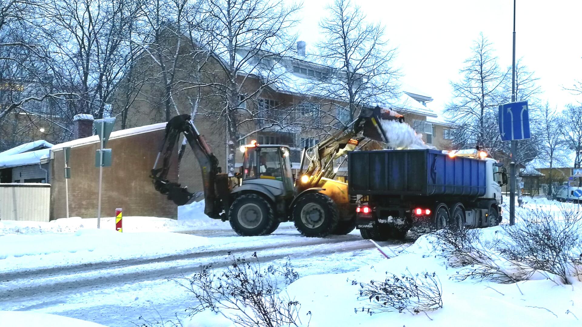 Traktori lastaa lunta kuorma-auton lavalle