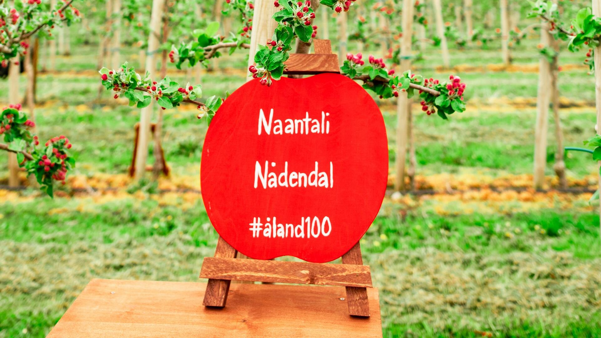 Naantalin nimikko-omenapuu Ahvenenmaalla