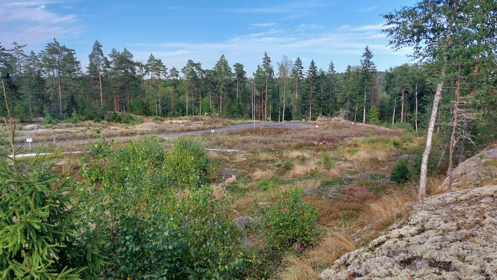 Metsäisessä maastossa kulkee Pyrstötähti-katu, jonka eteläpuolelle on merkitty tontit pienin kyltein.