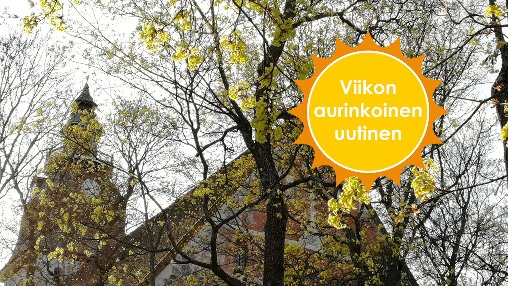 Naantalin kirkko alhaalta kuvattuna, taivasta vasten. Kirkon edessä on puu, johon on muodostumassa lehtiä. Viikon aurinkoinen uutinen -logo.