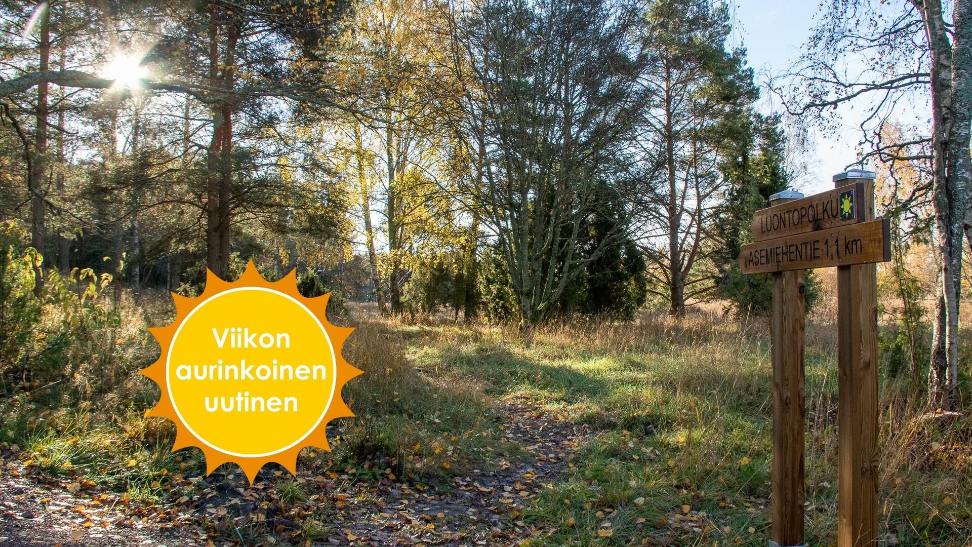 Puiden välistä pilkottaa aurinko, etualalla on kyltti, joka osoittaa polkua kohti. Viitoituskyltissä lukee "Luontopolku. Asemiehentie 1,1 km". Kuvan päällä on Viikon aurinkoinen uutinen -logo.