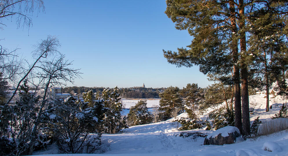 Lumisessa maisemassa on ympärillä puita ja pensaita, keskeltä avautuu maisema jäätyneelle merelle, horisontissa näkyy Naantalin luostarikirkon torni.
