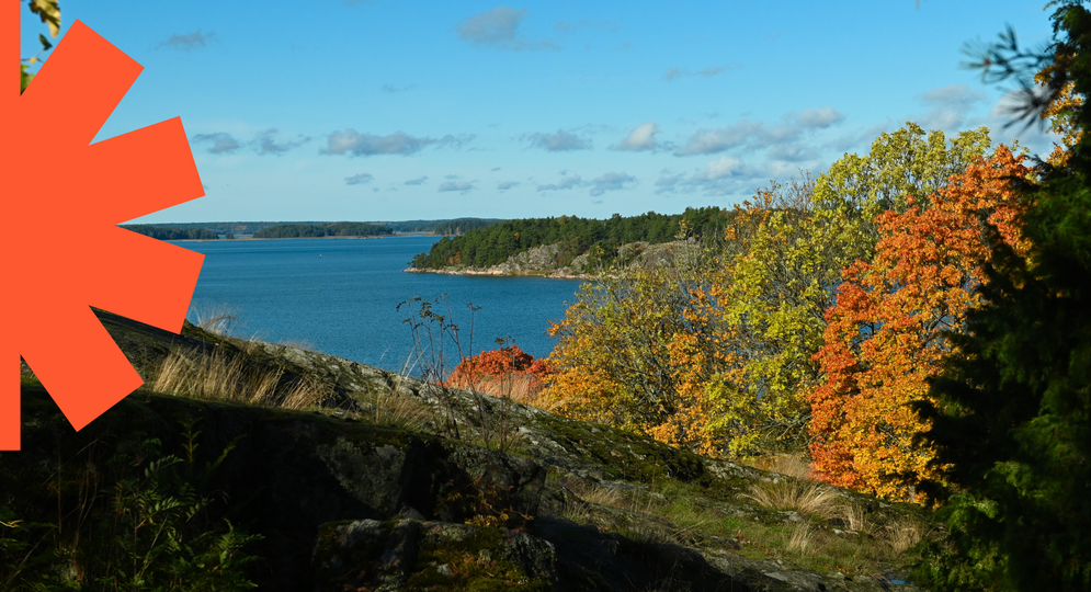 Syksyinen merimaisema ja puita ruskaväreissä, vasemmassa reunassa oranssi aurinkoelementti.