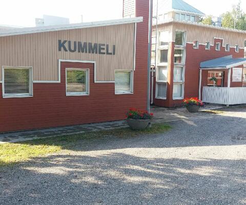 Kesäinen kuva Kummelin edestä