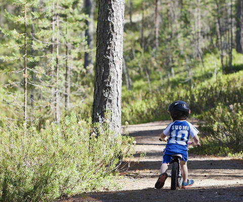 Pieni poika pyöräilee metsässä