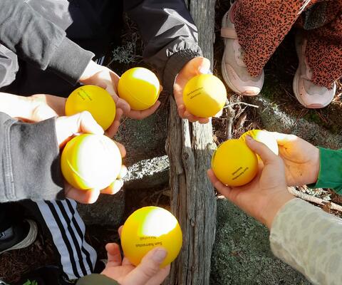 Lapsilla keltaisia palloja käsissä