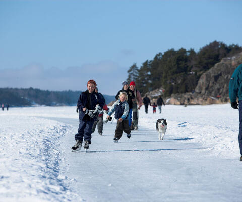 Luistelijoita Vanhankaupungin jäillä baanalla.