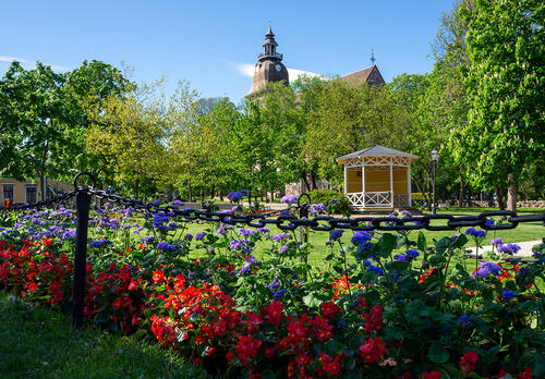 Kukkaloistoa Kirkkopuistossa.