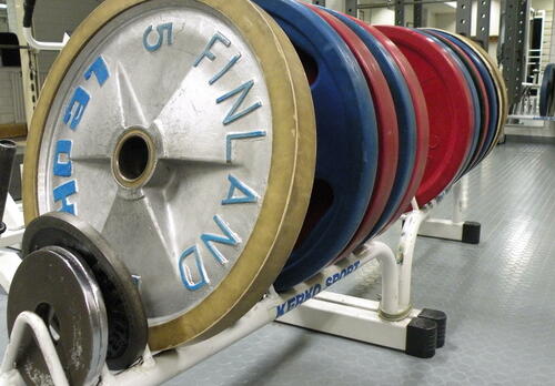 Kiekkopainoja rivissä telineellä.