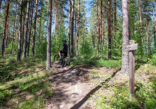 Pyöräilijä metsässä