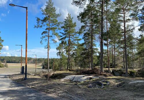 Asuntomessualueen Venda-kadun varattu metsäinen tontti