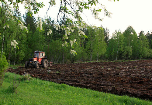 Traktori liikkuu pellolla.