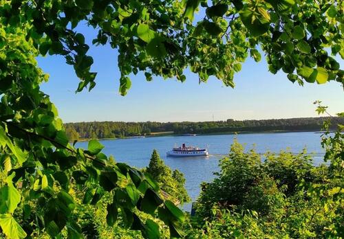Näkymä Vanhastakaupungista lehvästön läpi merelle, jossa kulkee höyrylaiva Ukko-Pekka.