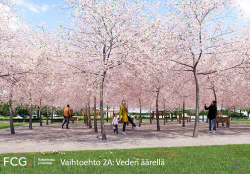 Taimonrannan puistosuunnitelman idealuonnosvaihtoehto, jossa puistomaisemaa ja kirsikkapuita. Taustalla meri.