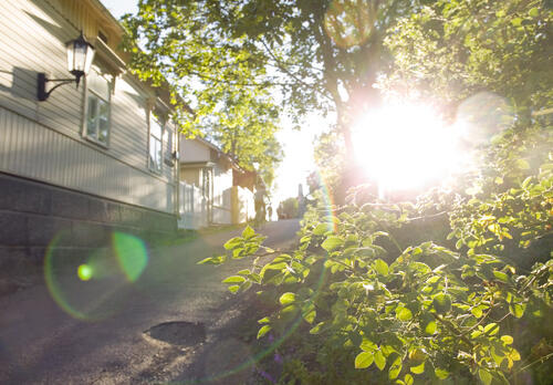 Aurinko paistaa kirkkaana oksien välistä Naantalin Vanhassakaupungissa.