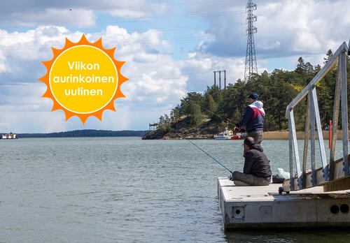 Viikon aurinkoinen uutinen