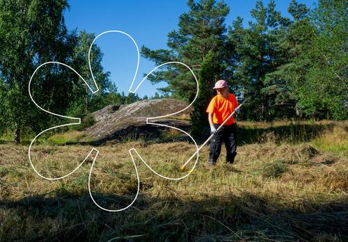 Jenni Lento haravoi niityllä leikattua heinää. Kuvan päällä Onnellinen aurinko -elementti.