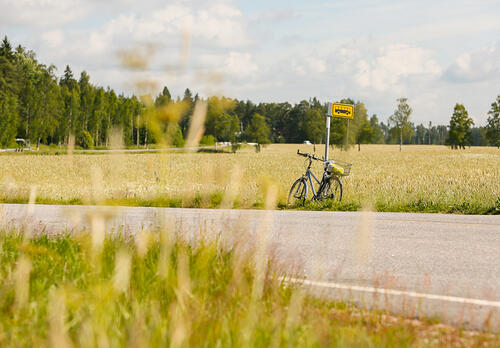 Polkupyörä nojaa bussipysäkkitolppaan tien varressa, ympärillä on peltomaisemaa.