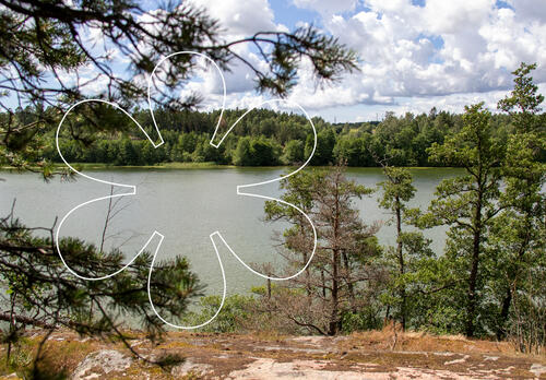 Kalliolta avautuu alaspäin järvi ja etualalla ja vastarannalla näkyy mäntyjä. Kuvan päällä kapeareunainen kukkaa tai aurinkoa muistuttava Onnellinen aurinko -elementti.