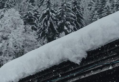 Reunaa katosta, jonka päälle on satanut mukava kerros lunta. Taustalla lumisia puita.