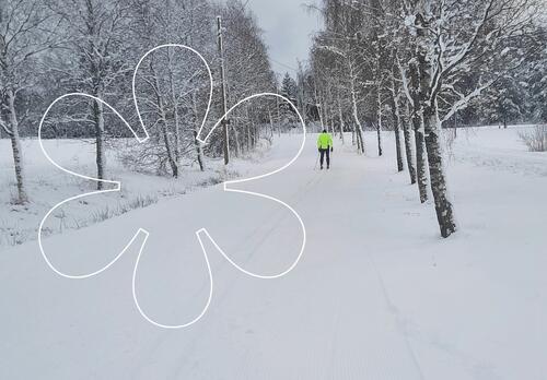 Puiden reununstama hiihtolatu ja vapaan hiihdon alue, jolla yksi hiihtäjä. Onnellinen aurinko -elementti.