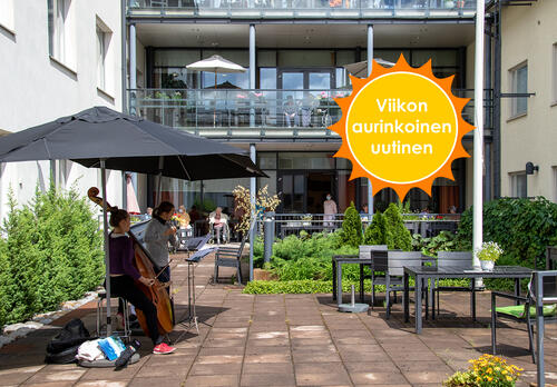 Viikon aurinkoinen uutinen