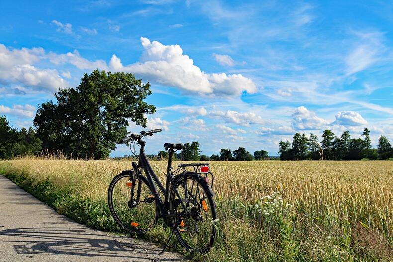 Polkupyörä pellon laidalla, taustalla puita ja sinivalkoinen taivas