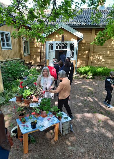 tapahtuma museon pihassa, ihmisiä ja vehreyttä