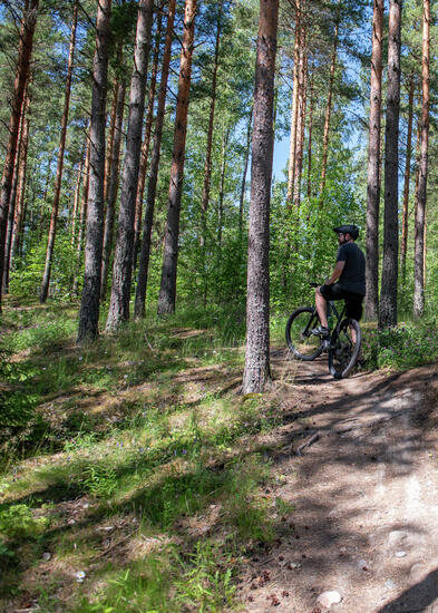 Metsässä pyöräilijä