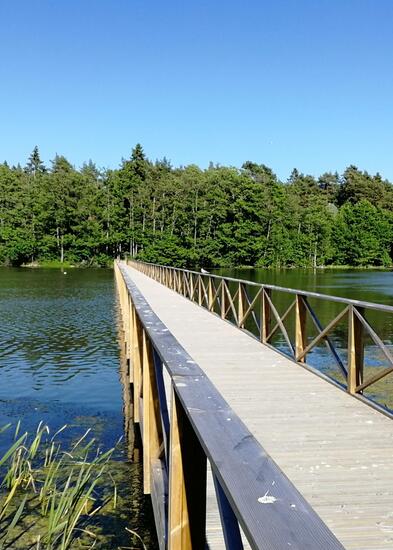 Silta Luolalanjärvellä, kuva Anu Anttila