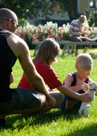 Perhe silittää pientä koiraa puiston nurmikolla