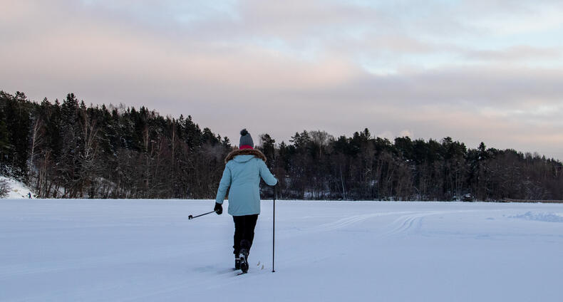 Vaaleansiniseen talvitakkiin pukeutunut hiihtäjä hiihtää ladulla järven jäällä.