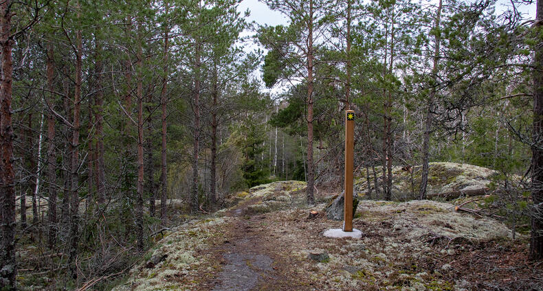 Aurinkokuvakkeella varustettu opaste kallion päällä. Keskellä kulkee polku.
